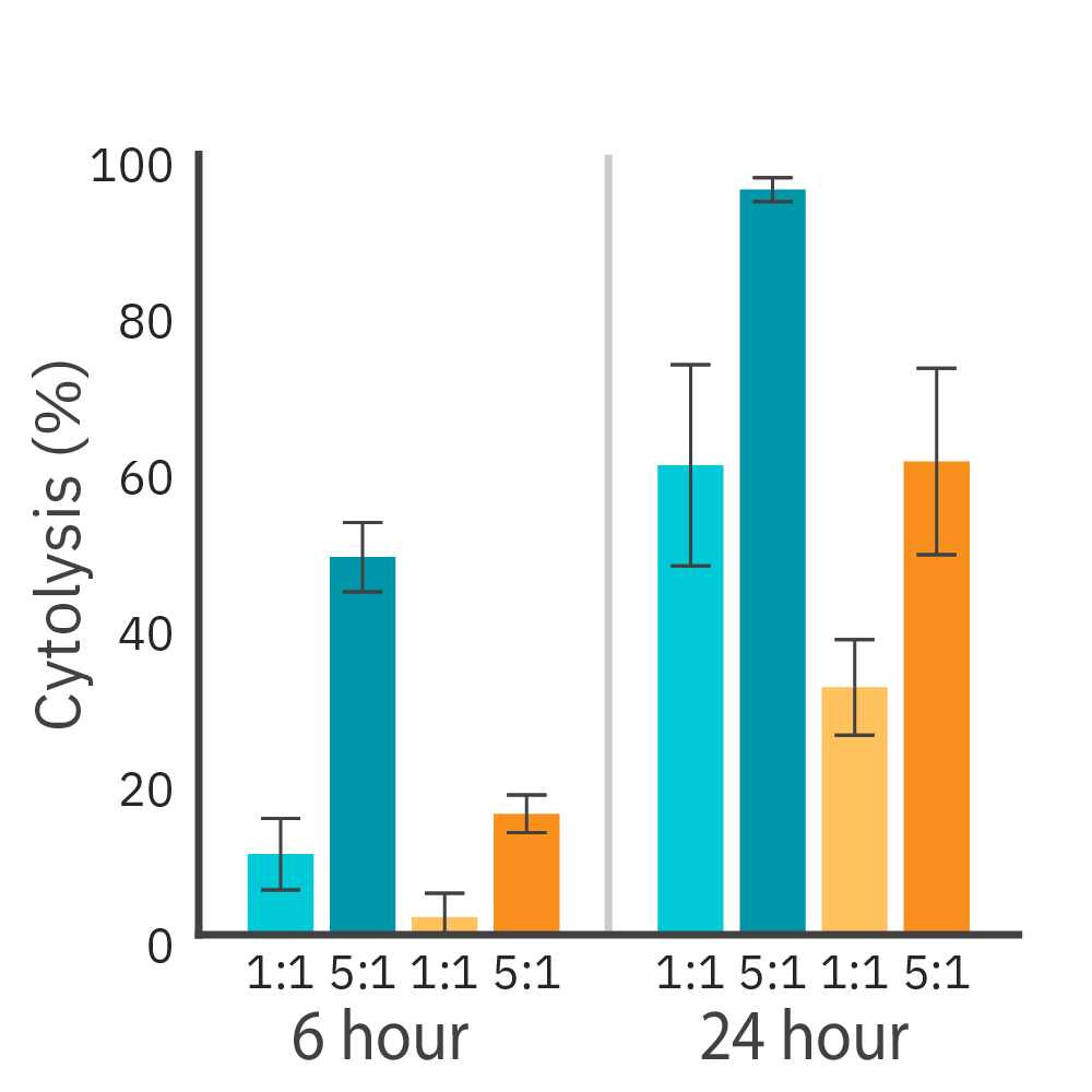 Impedance cytolysis graph comparing HER2 CAR T cell potency against SKOV3 and MCF7 target cancer cells