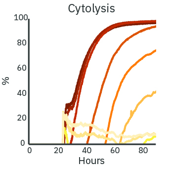 Impedance cytolysis graph showing dose-dependent SKOV3 cancer cell death after doxorubicin treatment in vitro