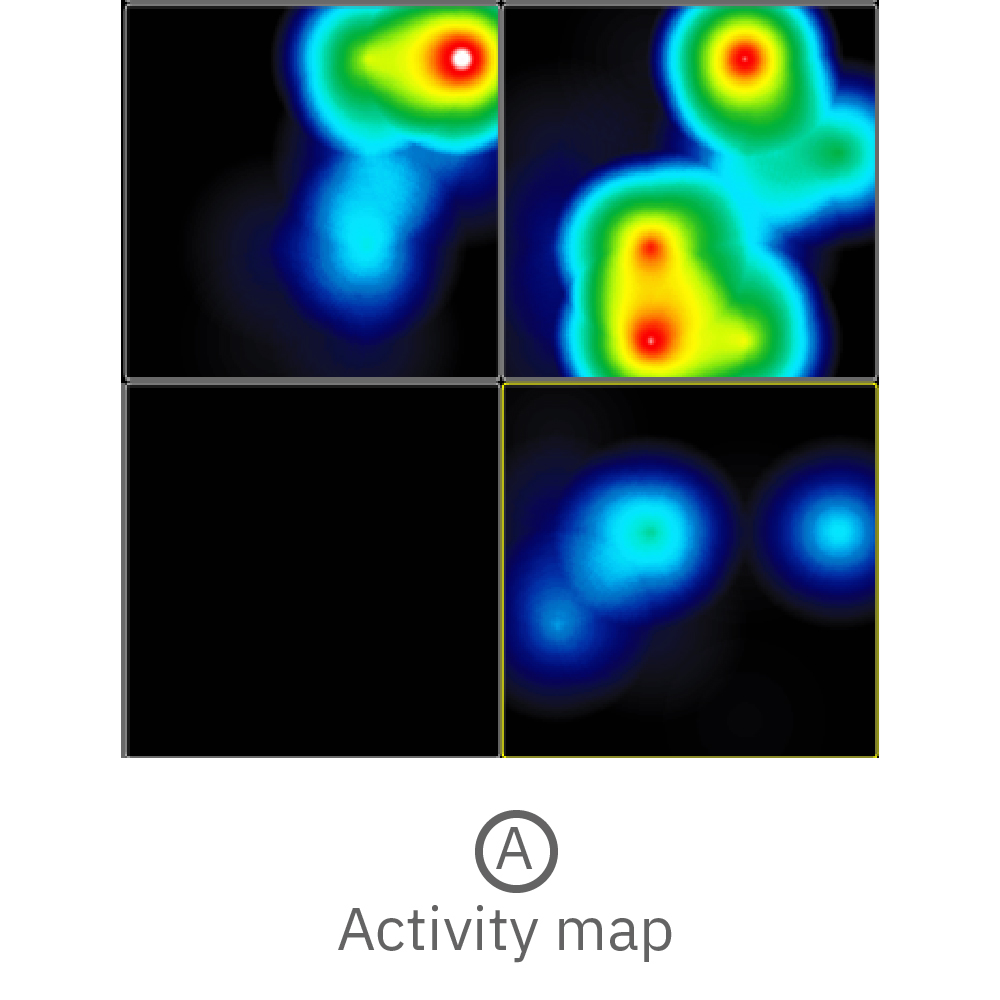 MEA activity map showing instantaneous firing rate across wells containing multiple cerebral organoids