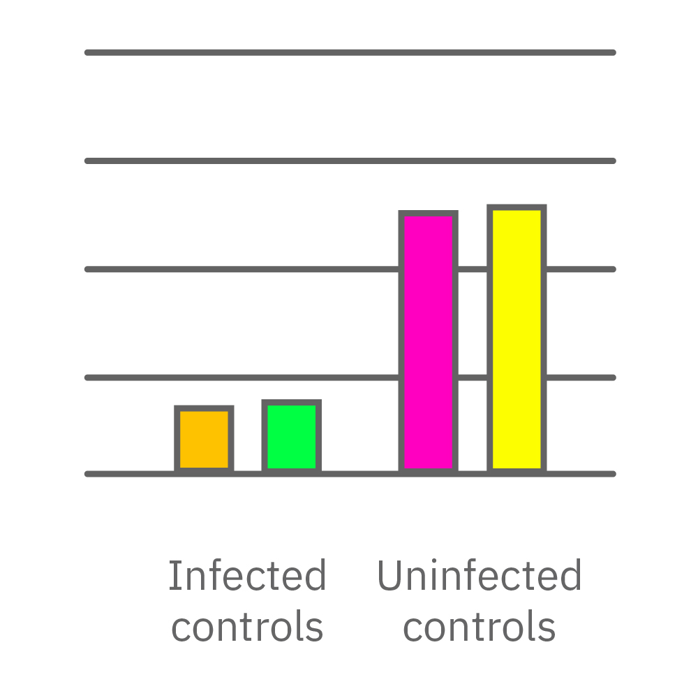 Impedance graph showing cytotoxic effects of high antiviral compound concentrations in Vero E6 cell viability assays