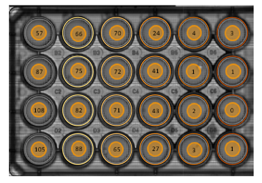 Clonogenic Assay Module image showing automated colony counting across a whole well for in vitro cancer cell survival research