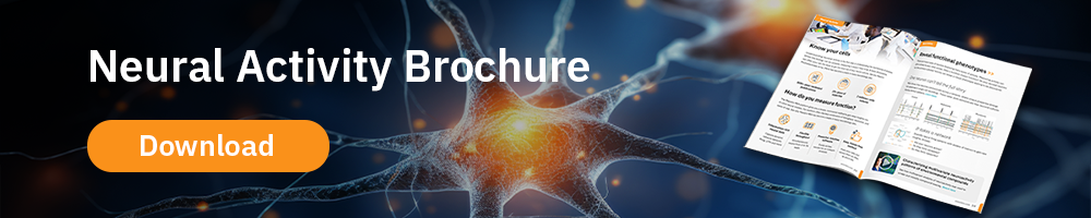 Download the Neural Activity Brochure for information on MEA-based neural activity assays