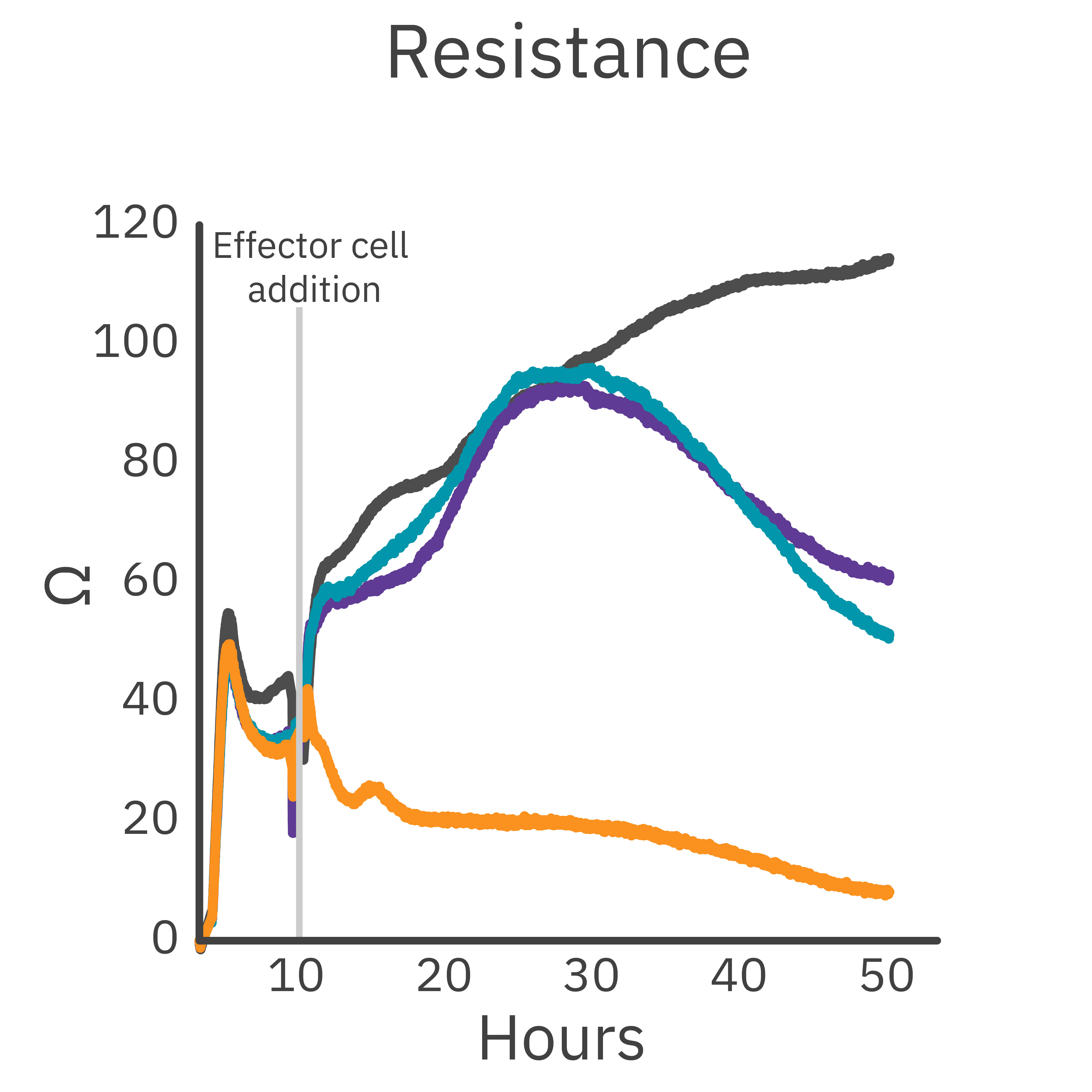 Maestro Z impedance resistance graph showing HER2-targeted CAR NK cell killing of HER2-expressing cancer cells in vitro