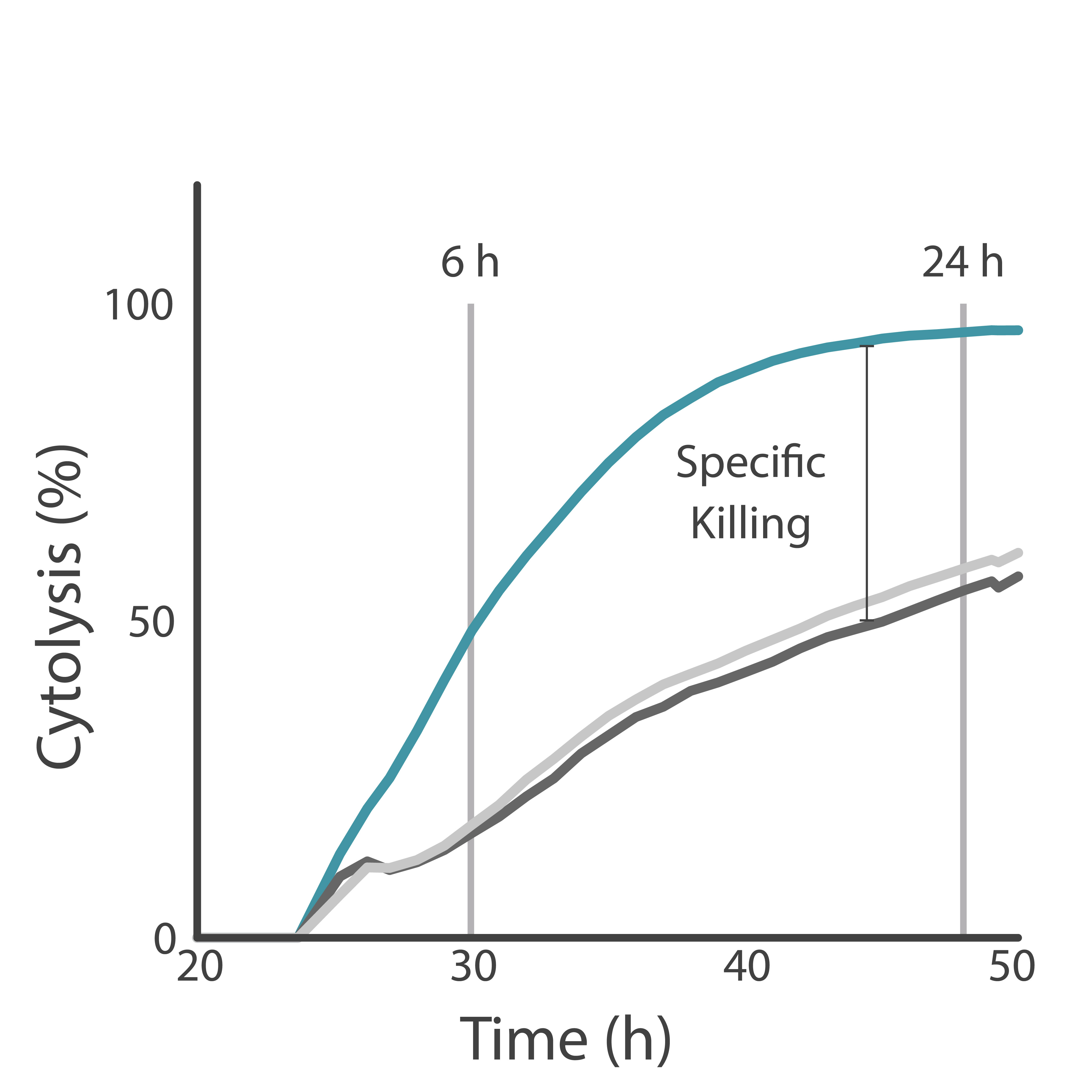 Impedance cytolysis graph showing antigen-specific HER2 CAR T cell-mediated killing of SKOV3 target cancer cells