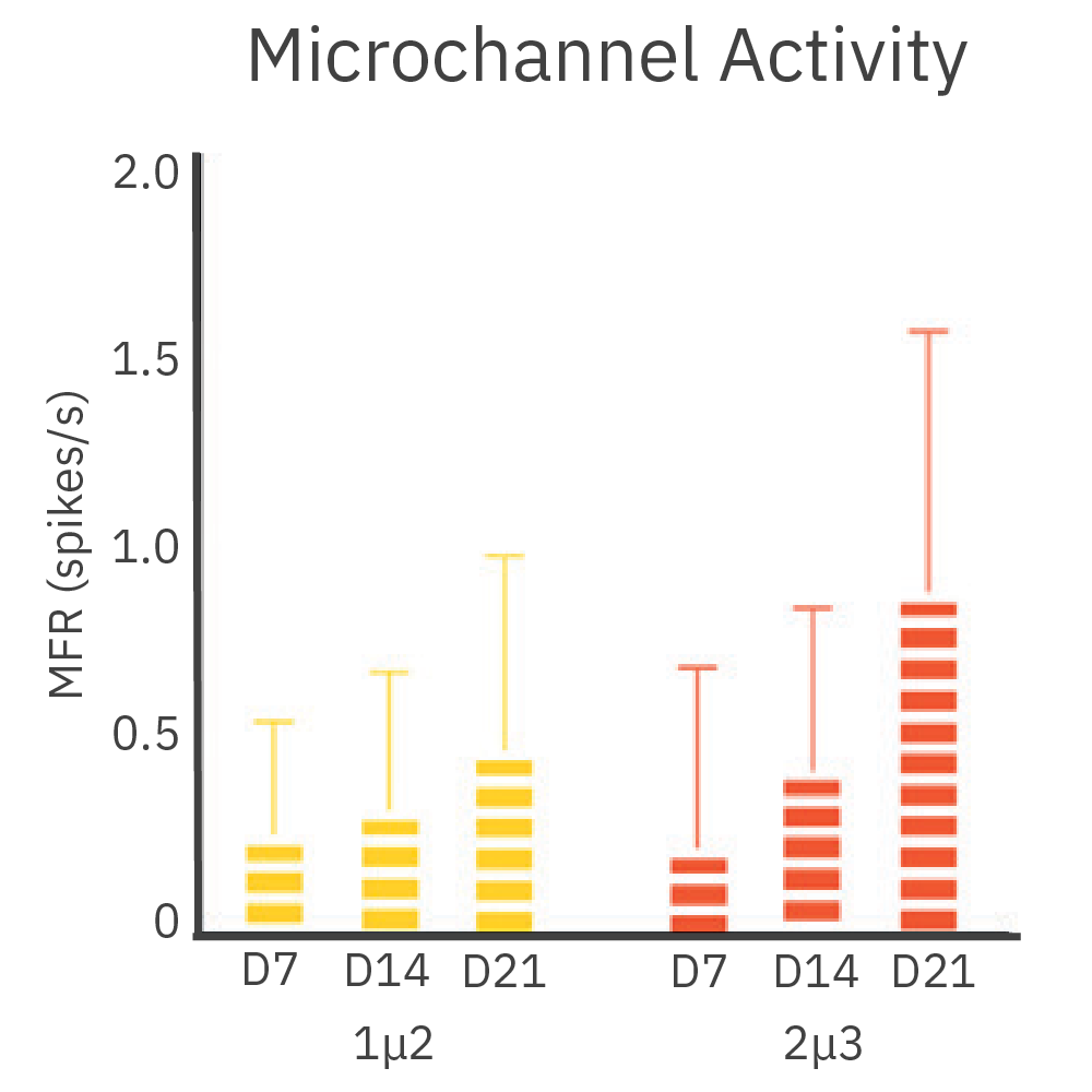 MEA bar chart showing microchannel firing activity during synaptic connectivity formation in a neural co-culture model