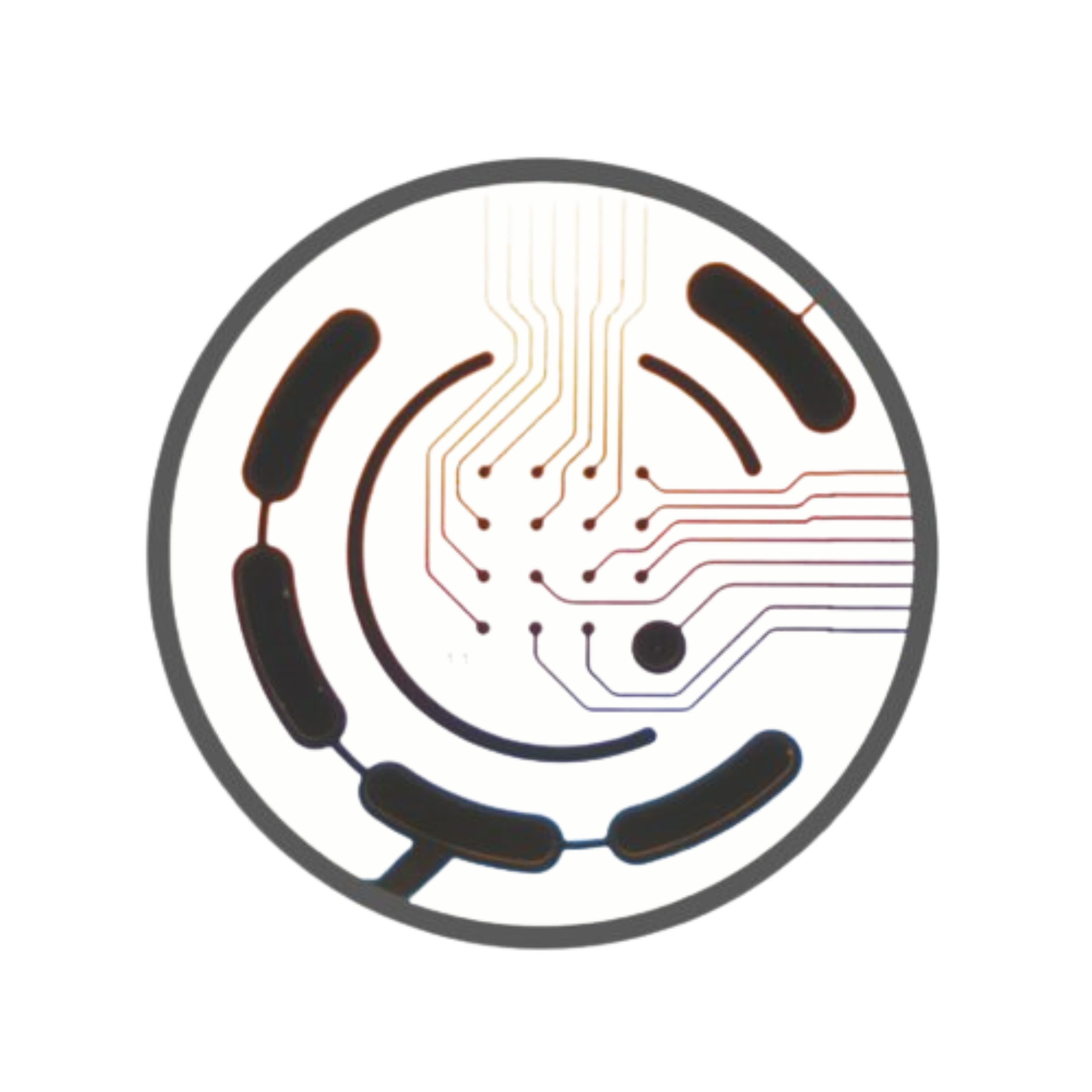 CytoView MEA Plates