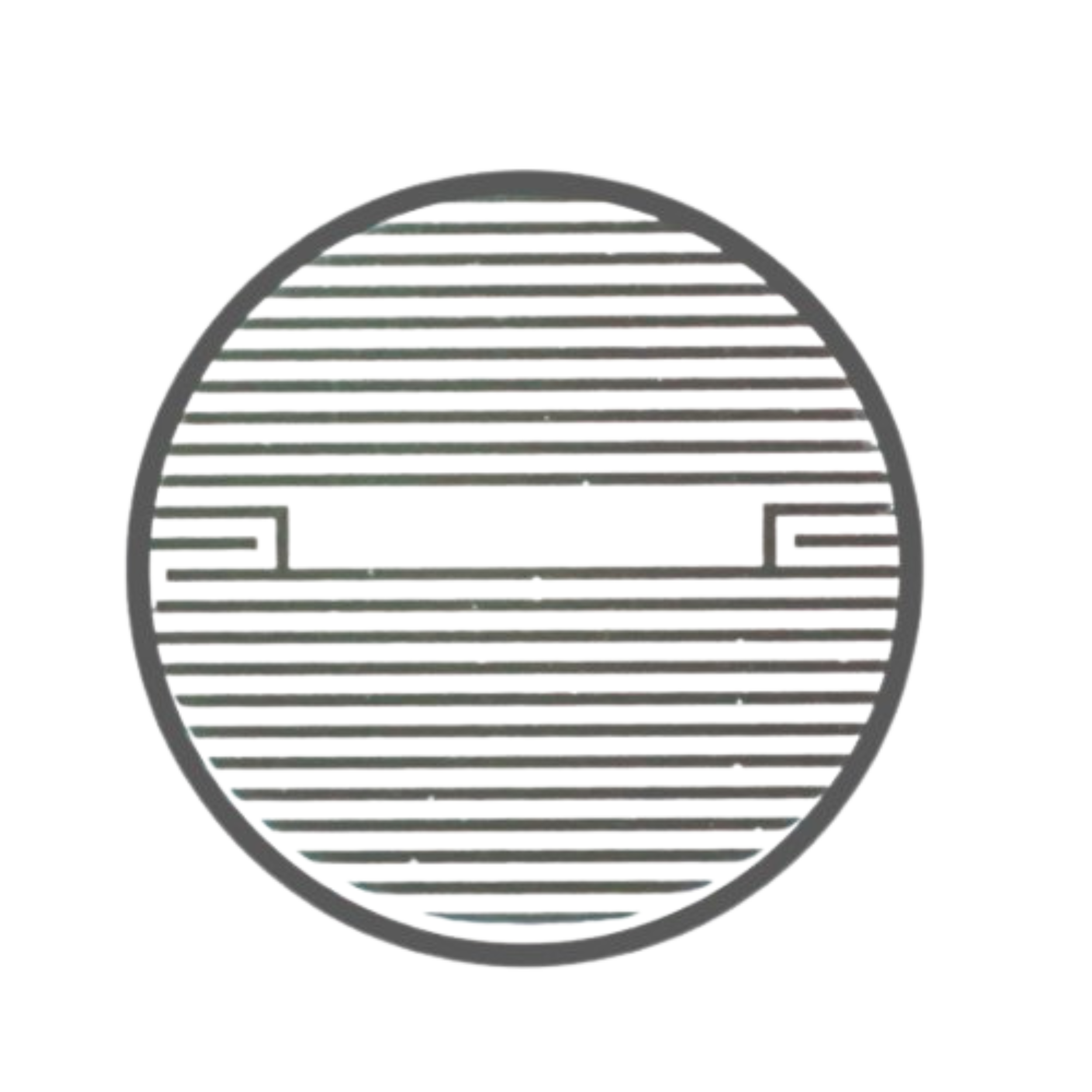CytoView Z Plates