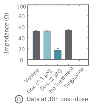 Impedance assay graph evaluating A549 cell viability 30 hours after dosing with potentially cytotoxic compounds