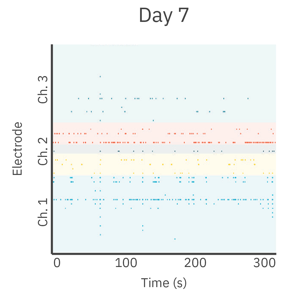 MEA raster plot showing early neural activity between cortical and hippocampal neuron chambers in a day 7 co-culture innervation assay