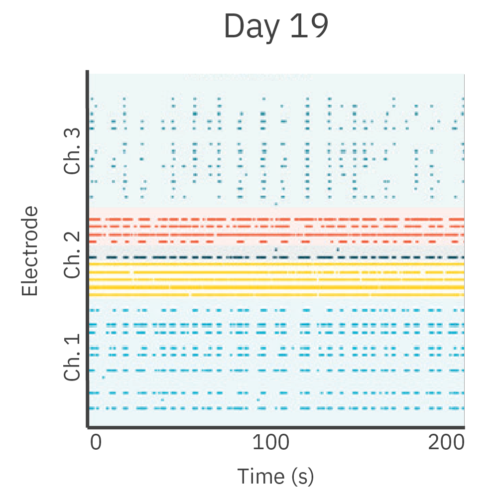 MEA raster plot showing increased neurite-associated neural activity in a compartmentalized cortical neuron culture at day 19