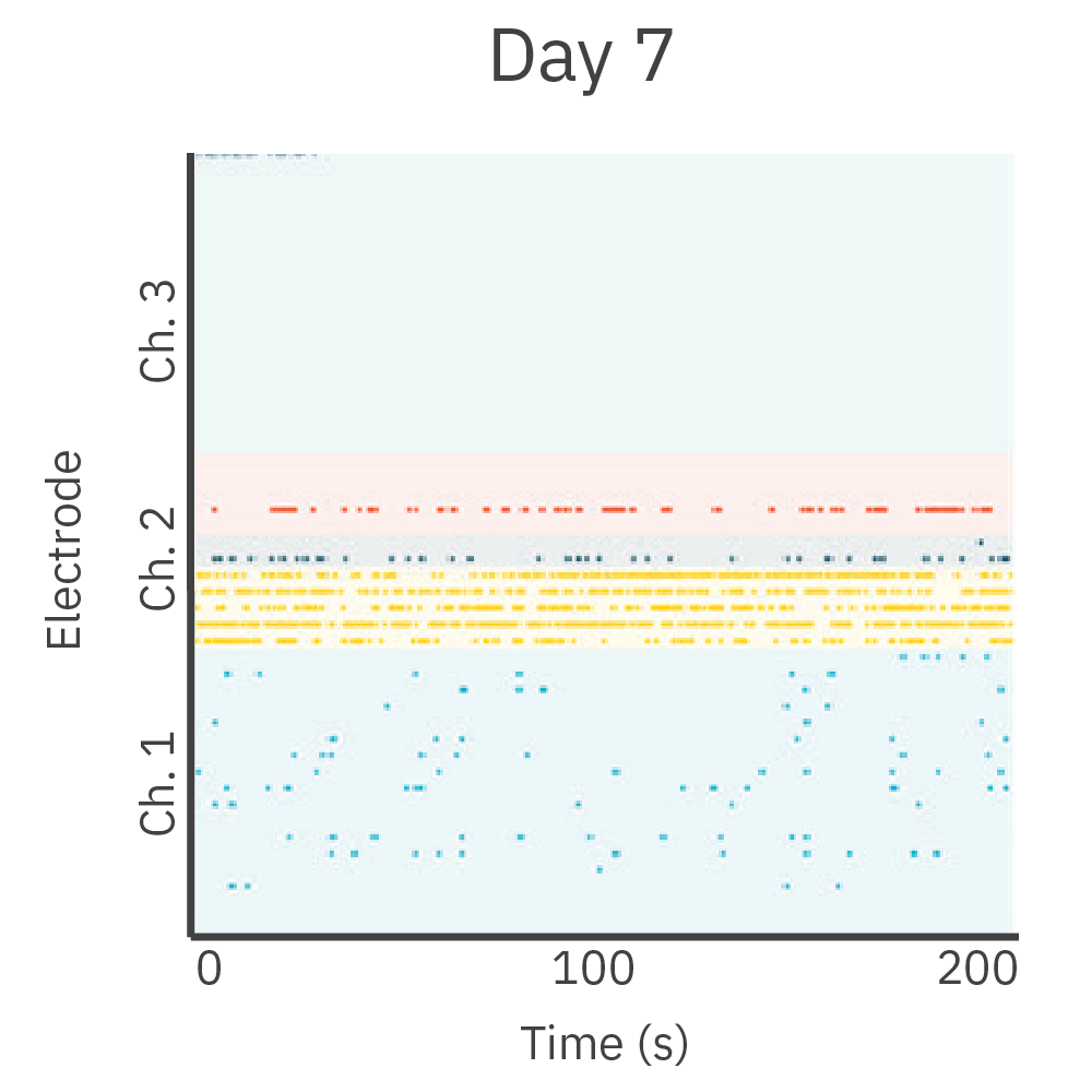 MEA raster plot showing early neurite-associated neural activity in a compartmentalized cortical neuron culture at day 7