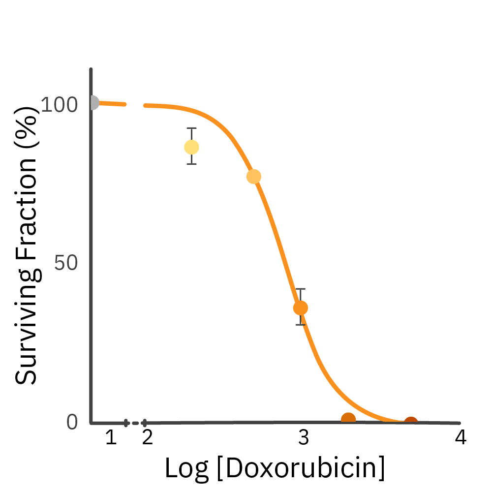 Clonogenic assay EC50 graph showing dose-dependent inhibition of CHO-K1 colony formation after doxorubicin treatment