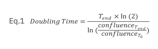The doubling time was calculated for each cell type and each seeding density using equation 1 where T is time (hours)