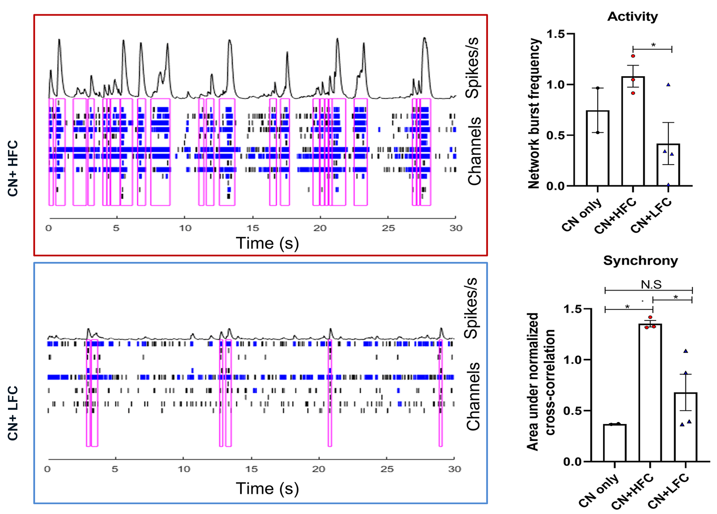 MEA electrophysiology data showing neural network activity and synchrony in patient-derived glioma co-culture research models