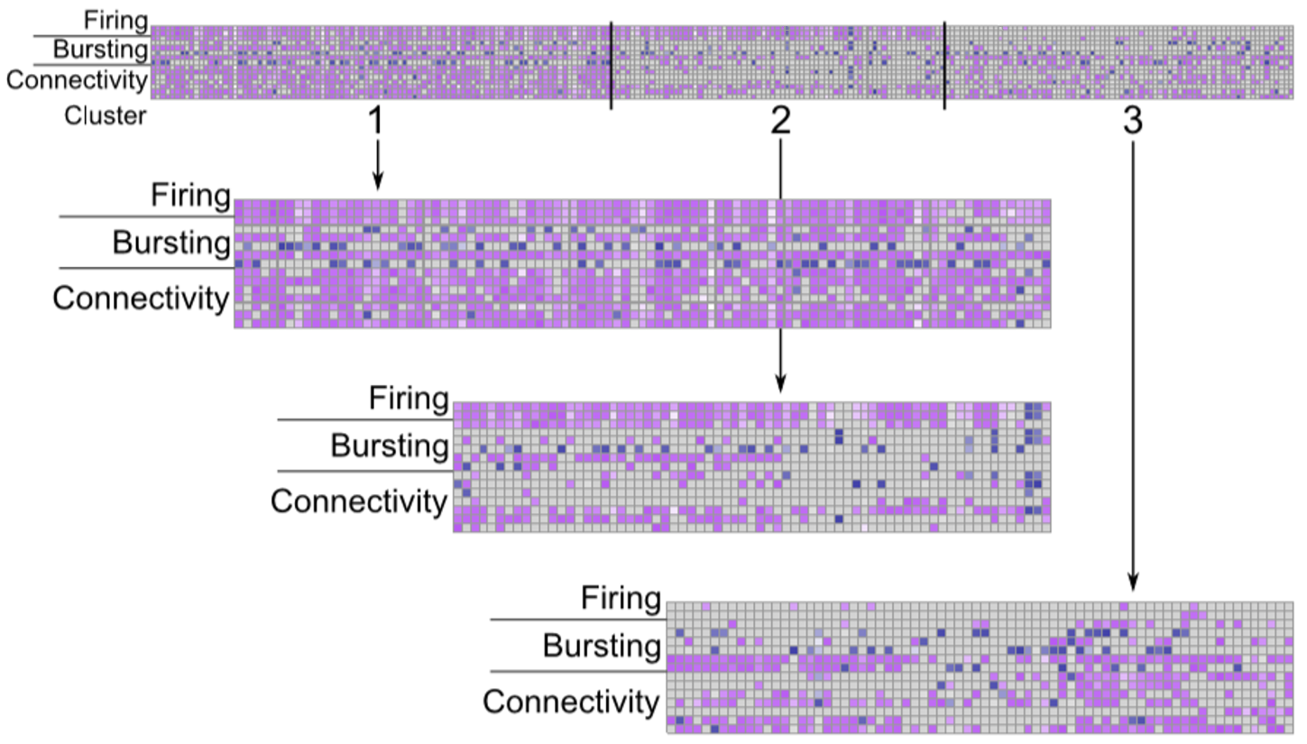 Multivariate MEA analysis of firing, bursting, and network connectivity parameters for environmental neurotoxicant classification