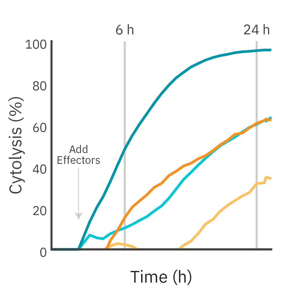 Maestro Z impedance resistance graph comparing HER2 CAR T cell-mediated killing of SKOV3 and MCF7 cancer cells