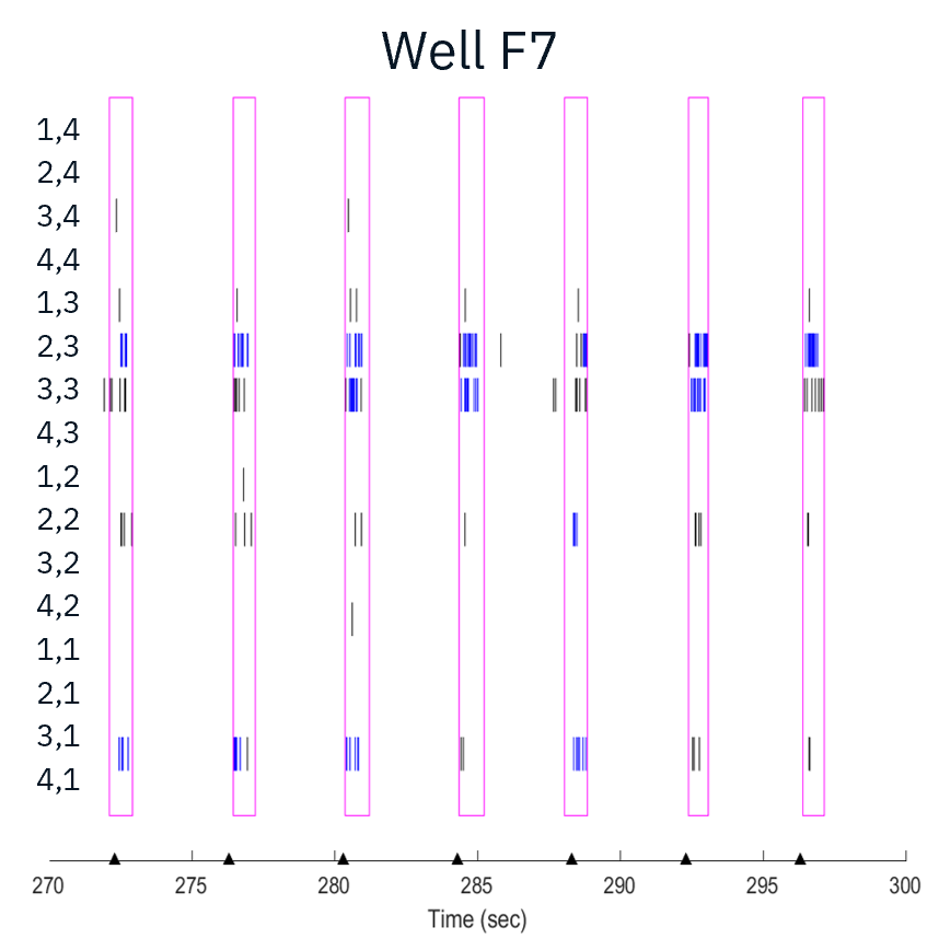 Raster plots from a representative well on the multiwell MEA plate. These motor neurons showed activity in reponse to light stimulation from the Lumos.