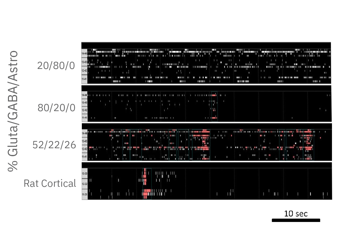 MEA raster plot comparing activity in glutamatergic, GABAergic, and astrocyte neural co-culture models