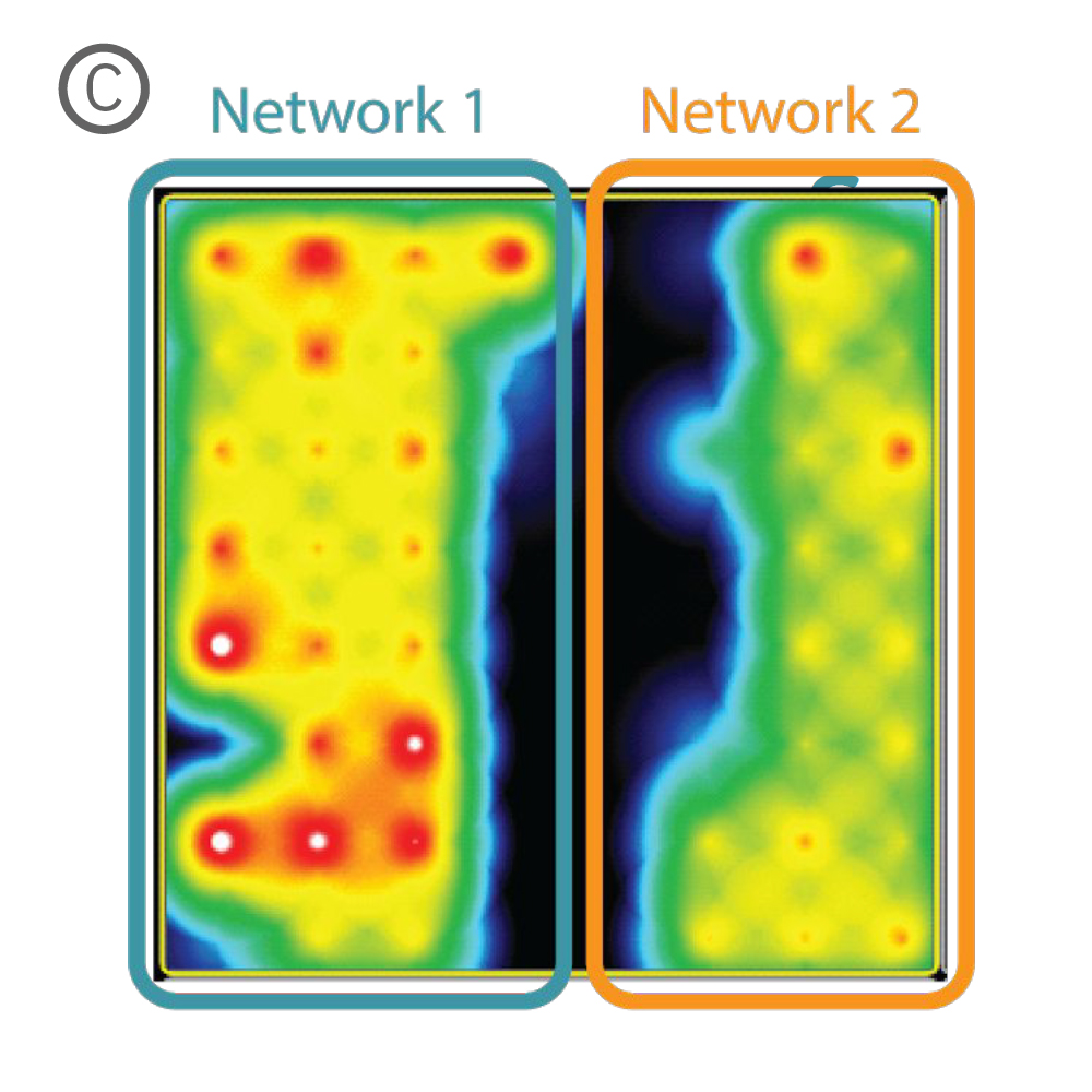 MEA activity map showing synchronous activity between two spatially separated neural networks in vitro