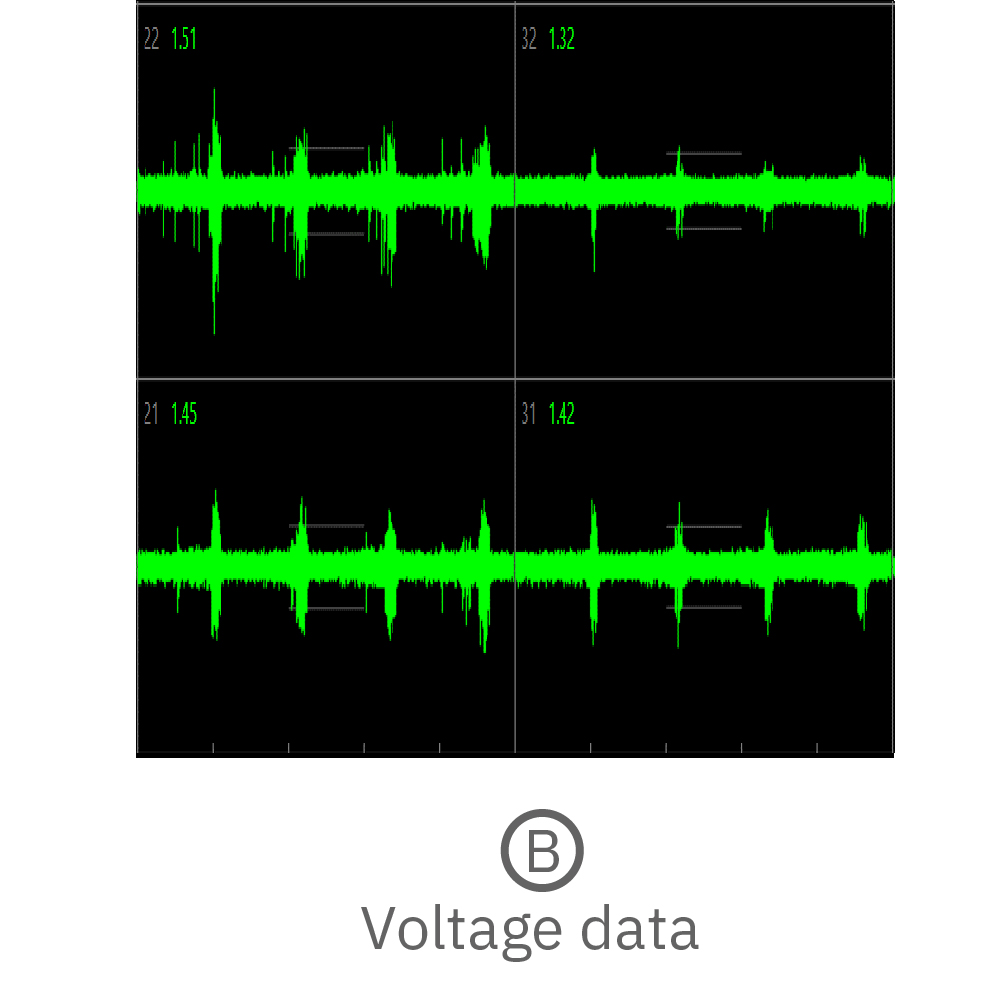 Continuous MEA voltage traces recorded from multiple electrodes measuring activity across one cerebral organoid