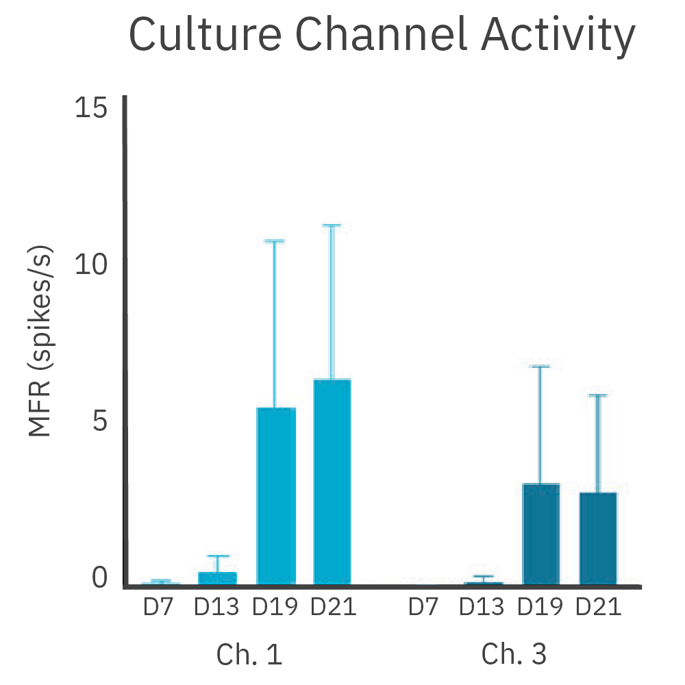 MEA bar chart showing increased culture channel activity as neurite projections develop in a neural innervation assay