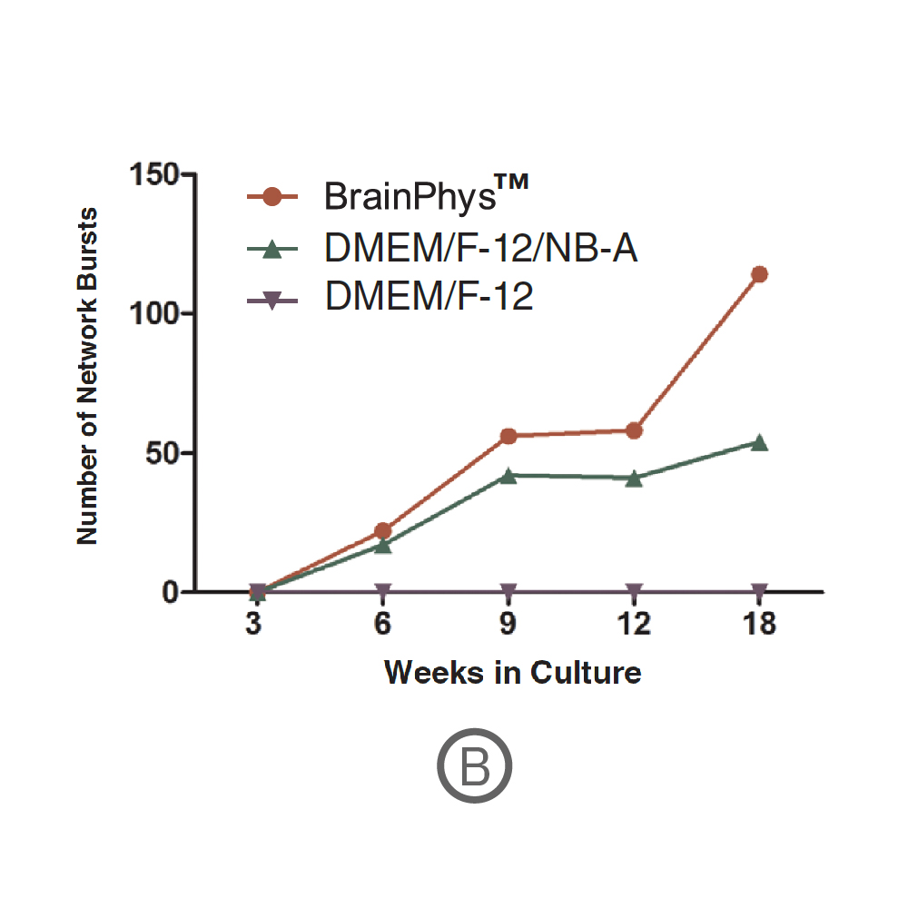 MEA network burst graph comparing functional neural activity in BrainPhys, DMEM-F12-NB-A, and DMEM-F12 culture media over 18 weeks