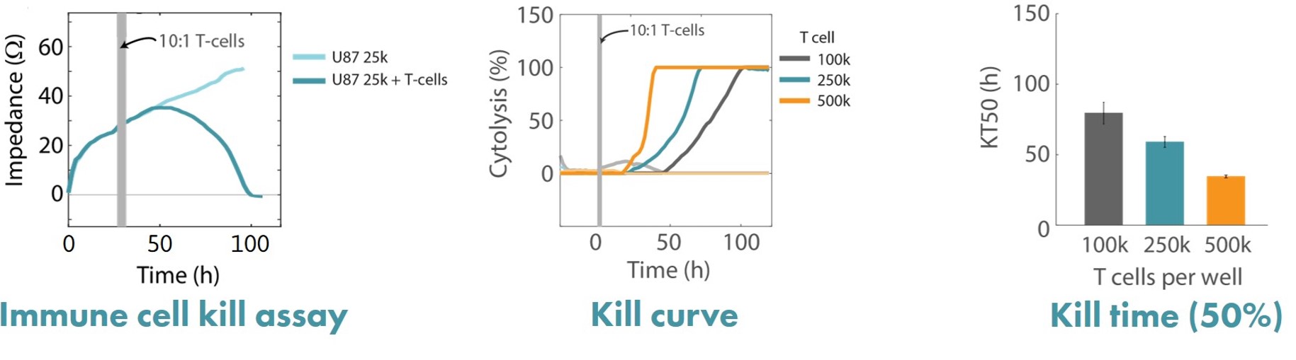 Impedance-based immune cell kill assay data measuring T cell-mediated cytolysis of U87MG glioblastoma cells on Maestro Z