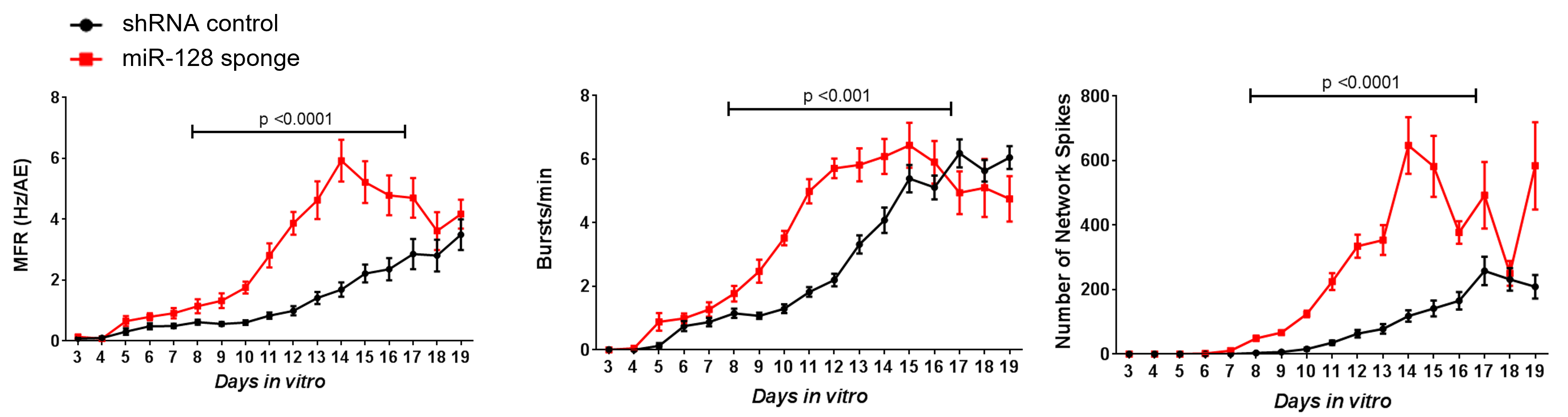 MEA electrophysiology graphs showing increased firing rate, bursting, and network spikes in miR-128 epilepsy research models in vitro