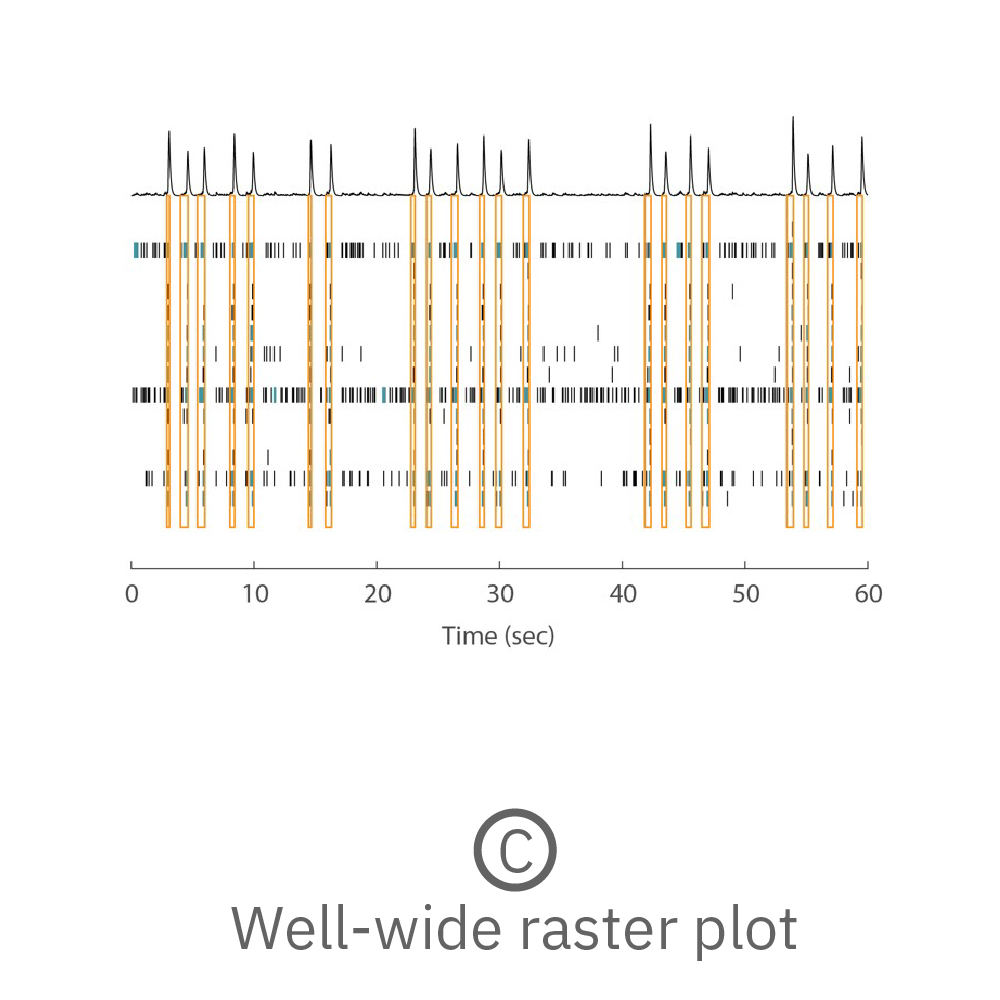 MEA raster plot showing synchronous network bursting across electrodes in cerebral organoid activity recordings