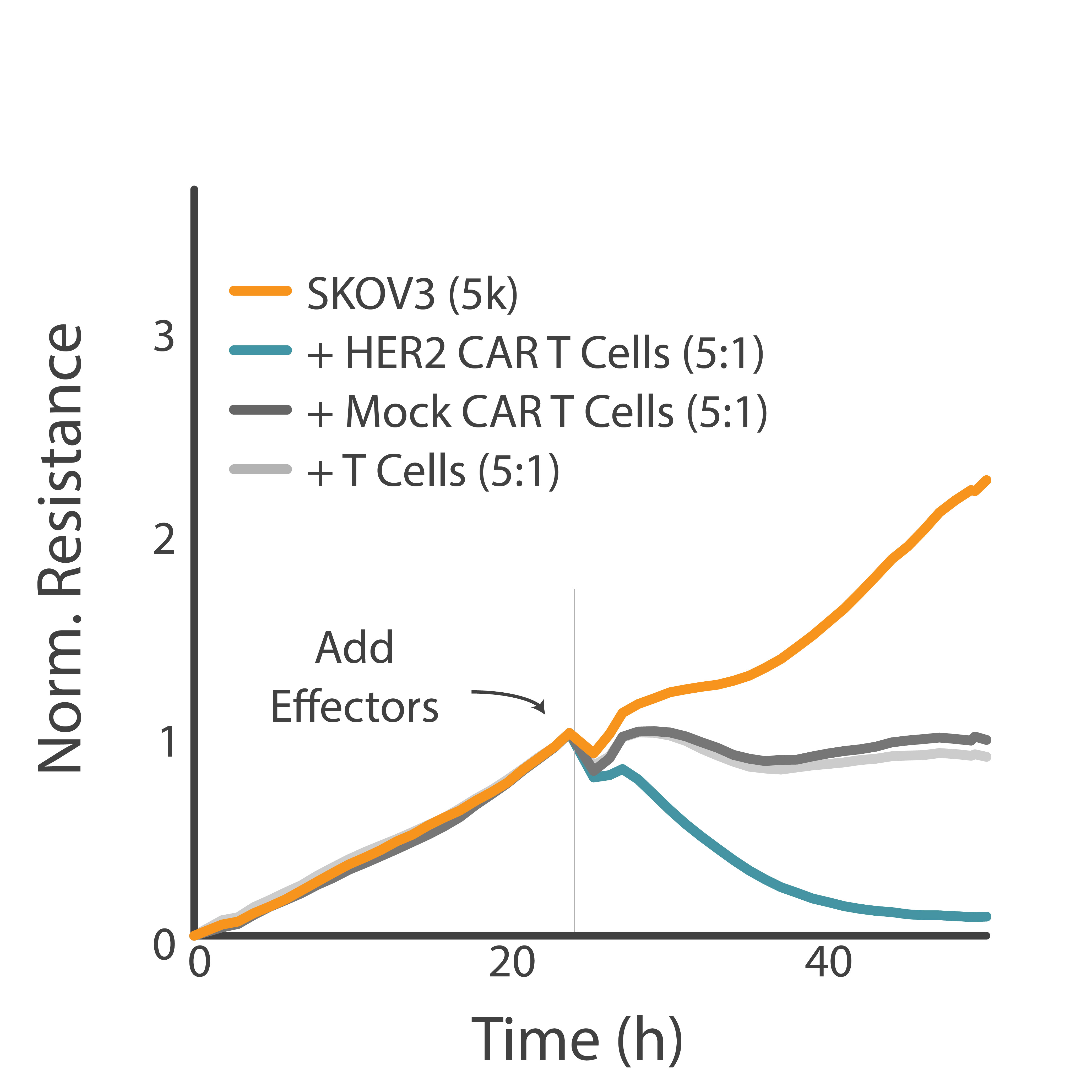 Maestro Z impedance resistance graph showing HER2-targeted CAR T cell killing of SKOV3 cancer cells in vitro width=