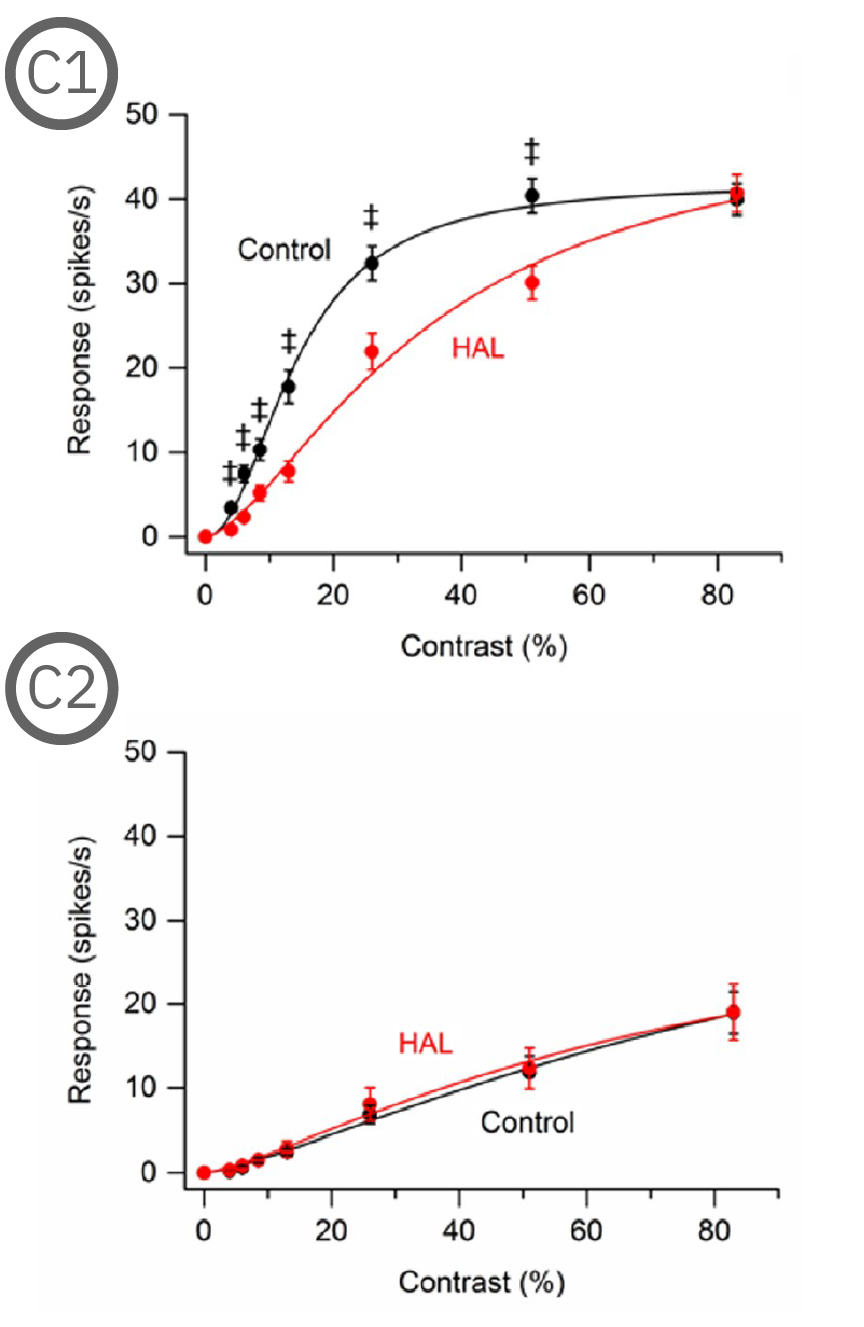 MEA data showing SD and P23H rat retinal ganglion cell responses to drifting sinusoidal grating contrast stimulation