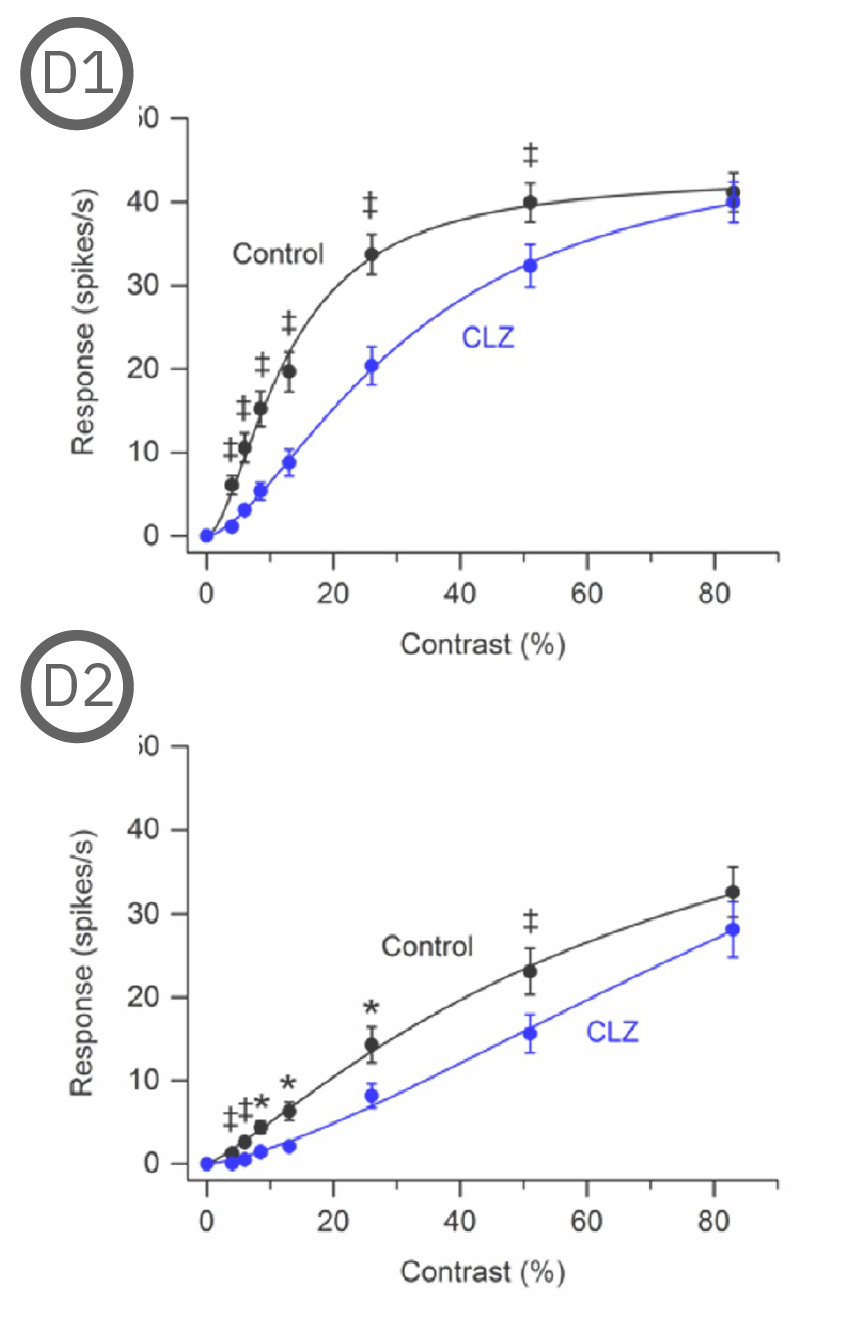 MEA contrast response data showing clozapine effects on retinal ganglion cells in P23H retinitis pigmentosa rat models