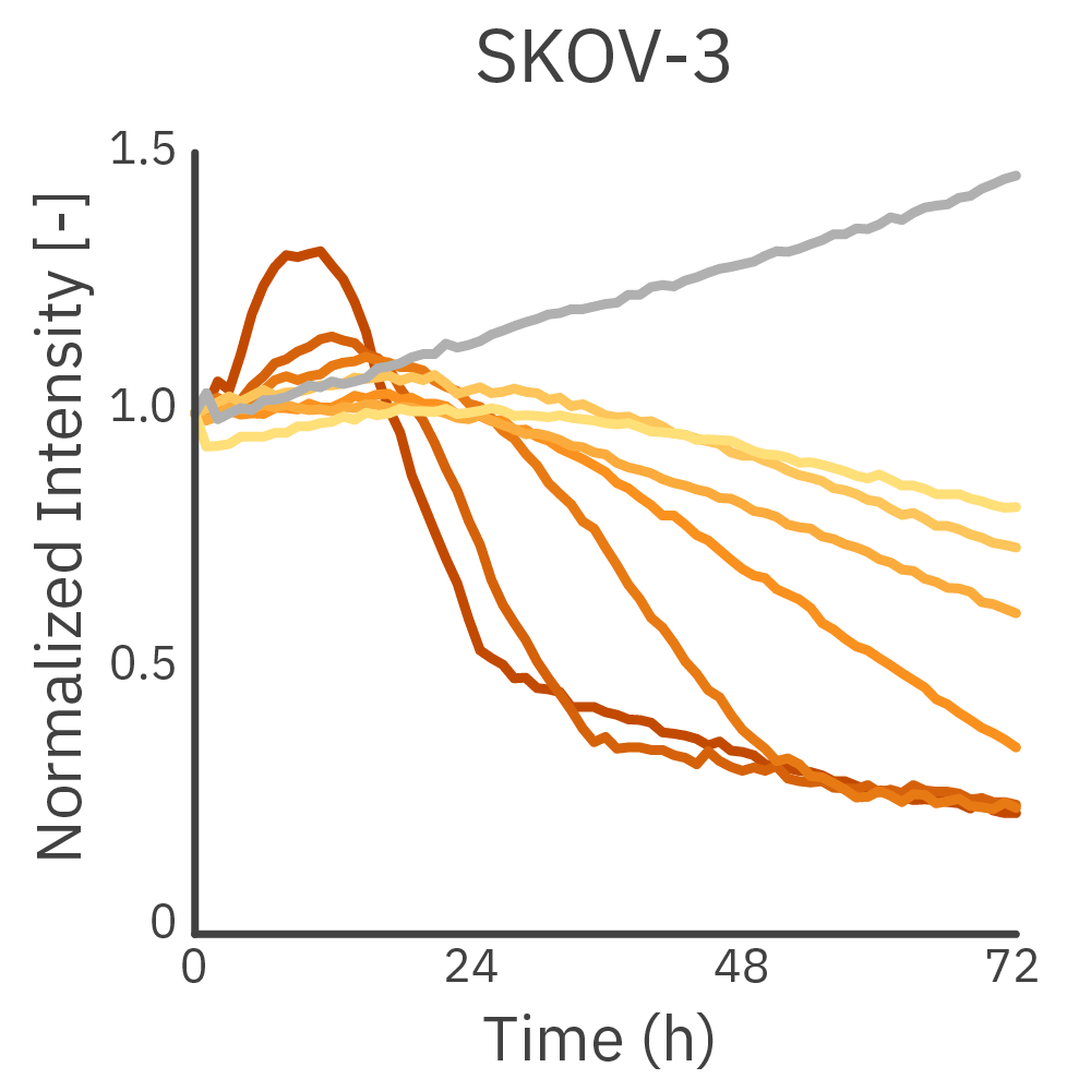 Omni live-cell imaging data showing CAR T cell-mediated killing of HER2-expressing SKOV-3 cancer spheroids