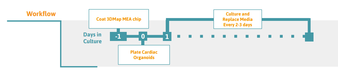 Cardiac Organoids on 3DMap MEA Protocol Workflow