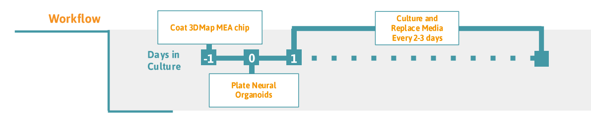 Neural Organoids on 3DMap MEA Protocol