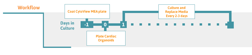 Workflow chart for culturing cardiac organoids on the CytoView MEA plate