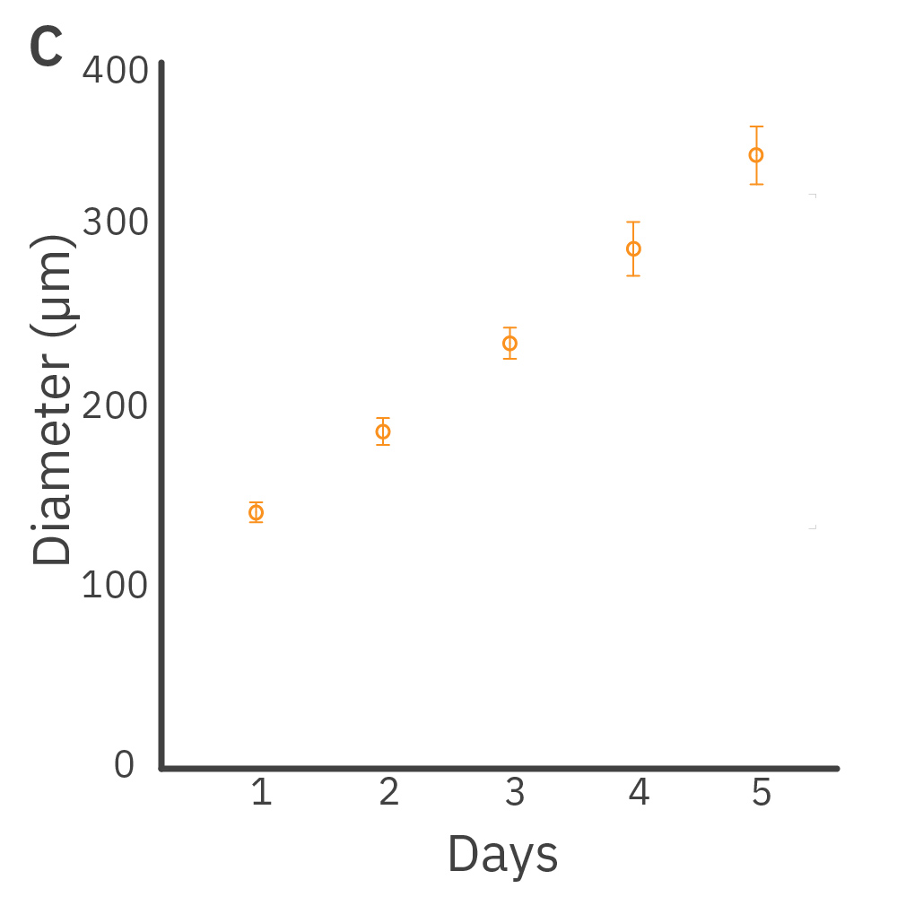 Organoid Analysis Module graph showing embryoid body area, diameter, roundness, and count during stem cell culture monitoring