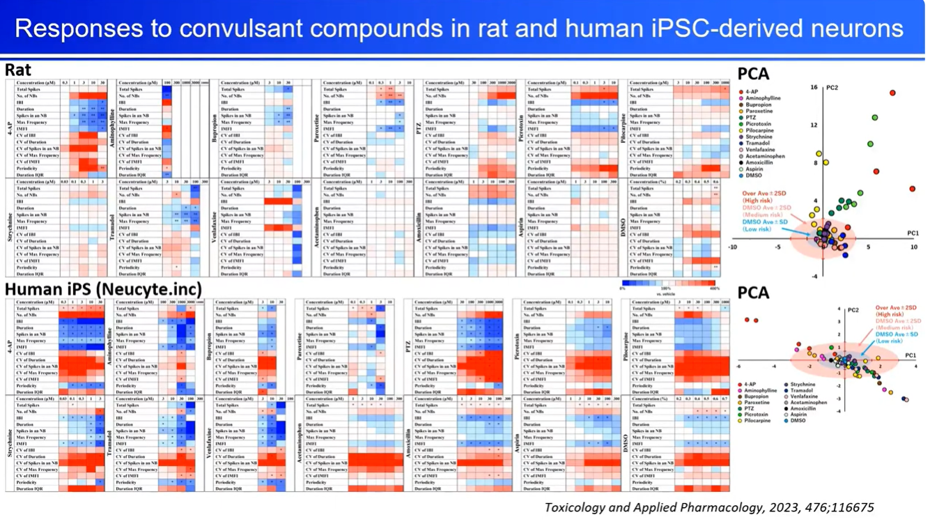 MEA electrophysiology data showing rat and human iPSC-derived neuron responses to convulsant compounds for seizure liability screening