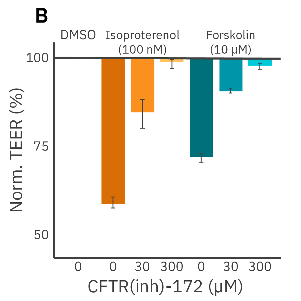 TEER graph showing CFTR inhibitor reversal of isoproterenol and forskolin responses in Calu-3 barrier function assays