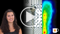 EEG from Zebrafish Customer Story