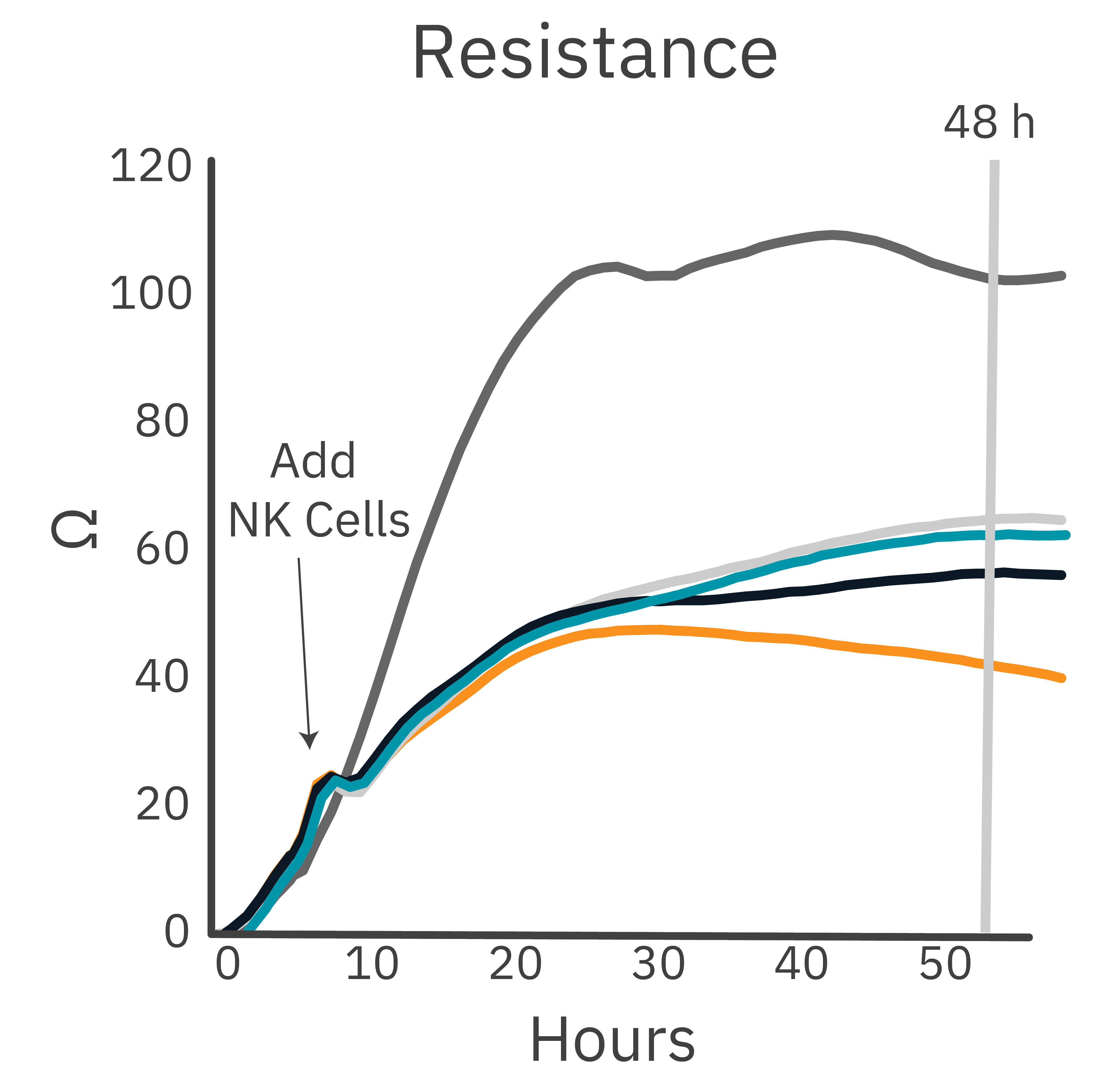 Impedance cell index graph showing trastuzumab-enhanced NK cell-mediated killing of SKOV-3 cancer cells in vitro