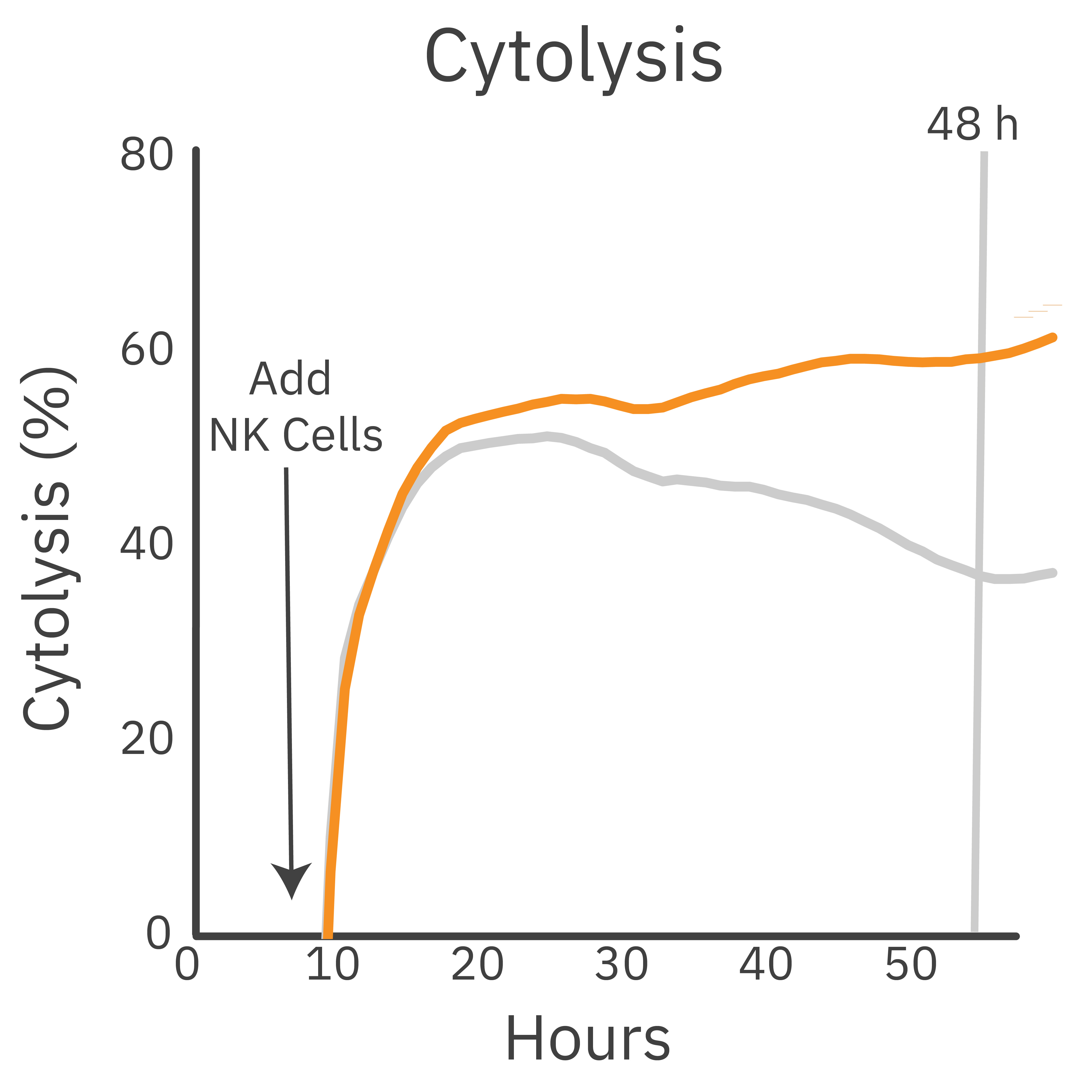 Impedance cytolysis graph showing antibody-dependent cellular cytotoxicity of SKOV-3 target cells treated with trastuzumab