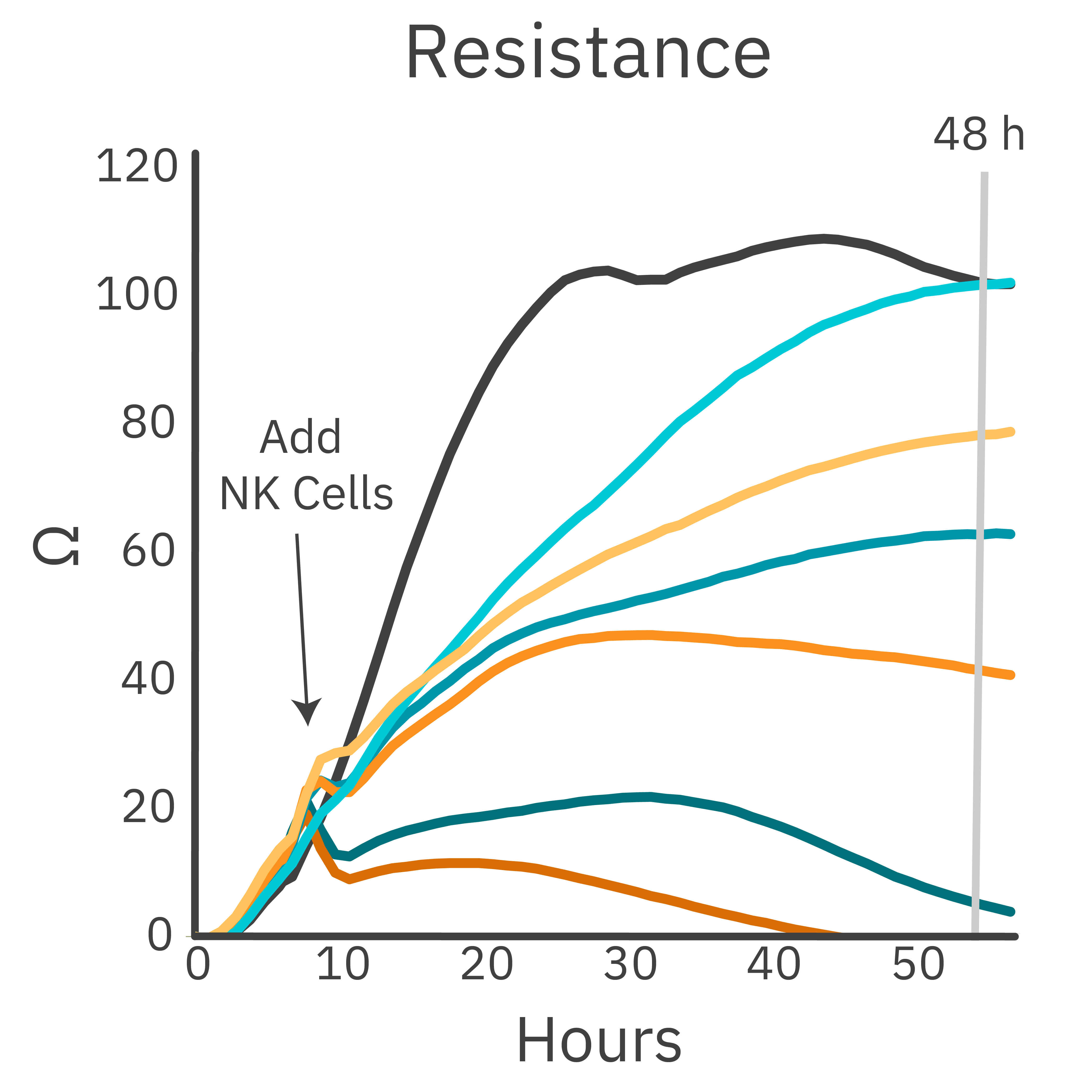 Impedance cell index graph comparing PBNK cell-mediated killing at different effector-to-target ratios with and without trastuzumab