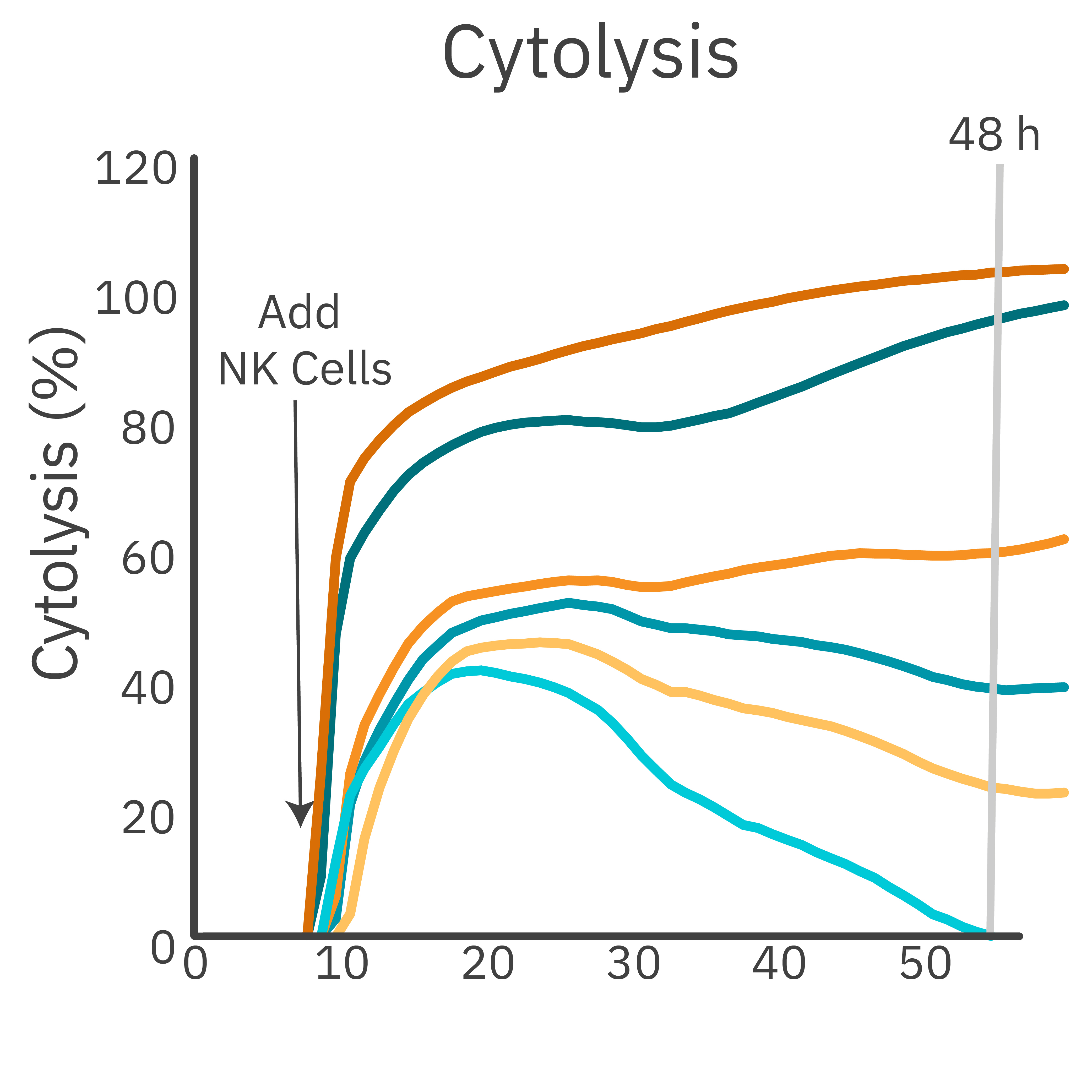 Impedance cytolysis graph showing ADCC responses across PBNK effector-to-target ratios in trastuzumab-treated cancer cells