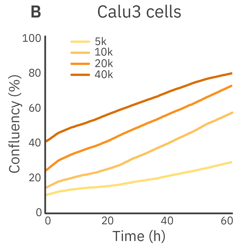 Omni confluency analysis graph showing Calu-3 cell proliferation at different seeding densities over time