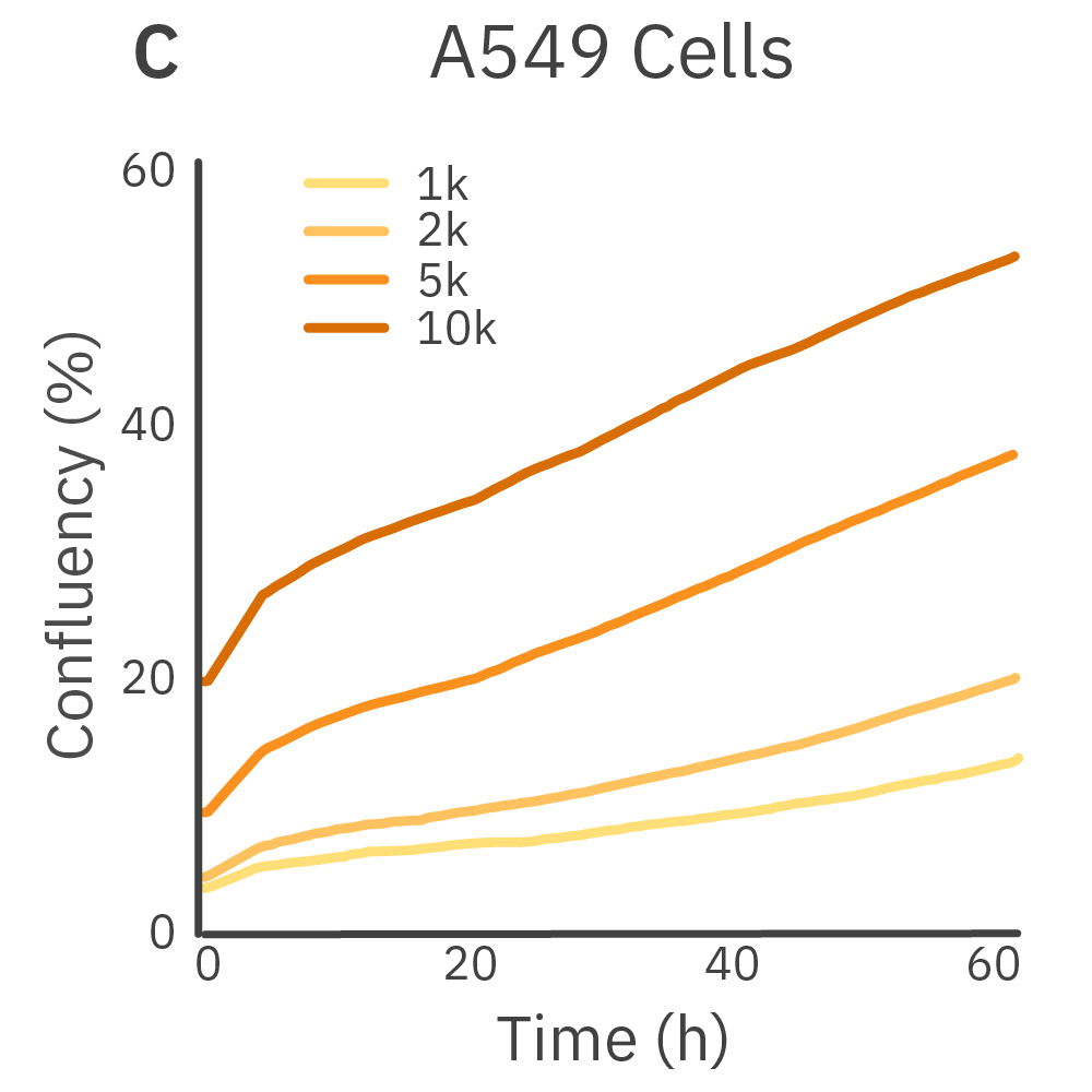 Omni confluency analysis graph showing A549 cancer cell proliferation at different seeding densities over time