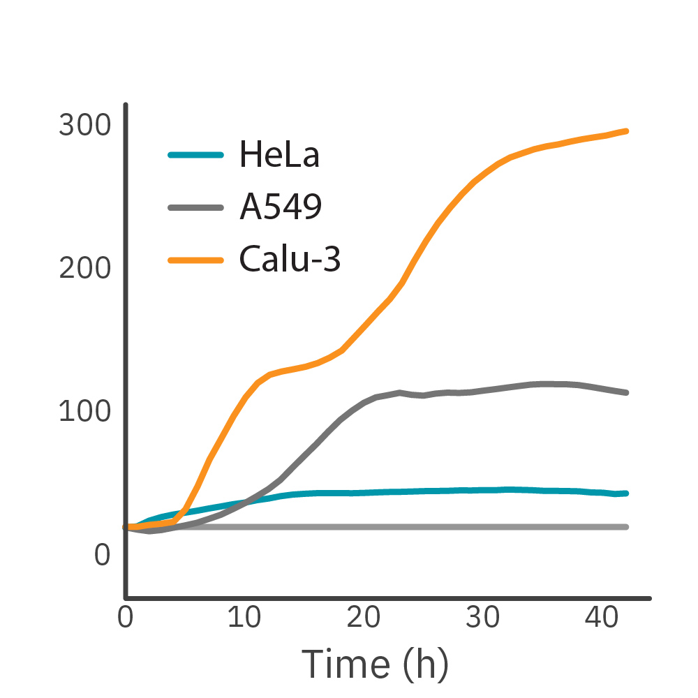 Maestro Z impedance graph comparing real-time proliferation profiles of HeLa, A549, and Calu-3 cancer cell lines