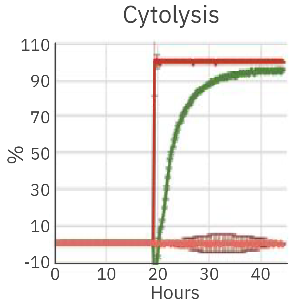 Maestro Z cytolysis graph showing real-time immune cell-mediated cancer cell killing in vitro