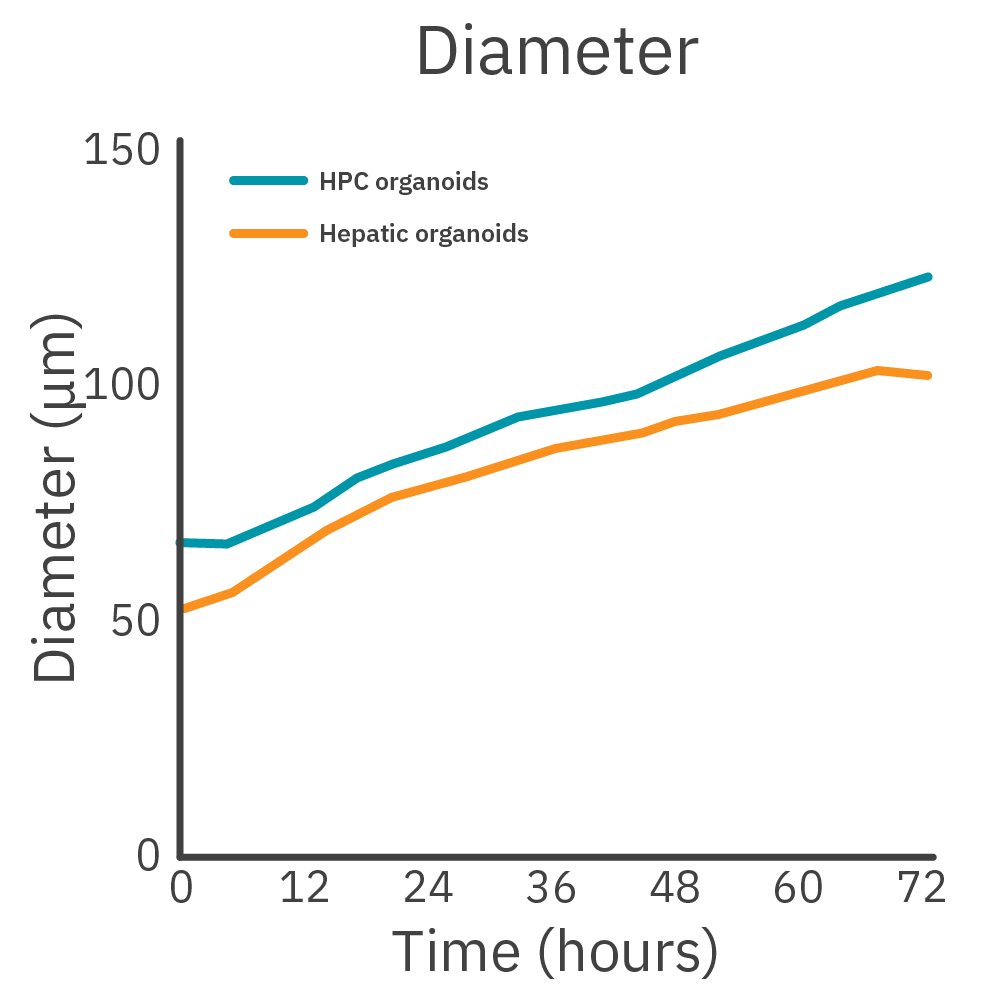 Graph showing hepatic progenitor cell and hepatic organoid diameter measurements during iPSC-derived organoid development