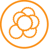 Cancer spheroid assay icon for studying immune cell killing in 3D solid tumor models